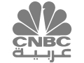 cnbc-logo-gray.webp